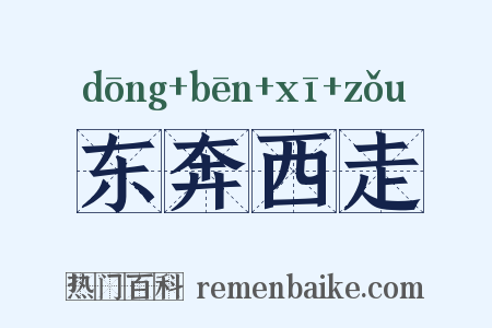 东奔西走是什么意思的图片